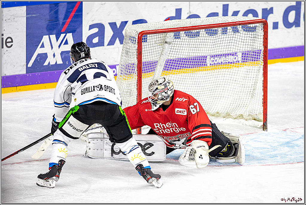 DEL; Koelner Haie - Straubing Tigers; Koeln, 17.11.2019